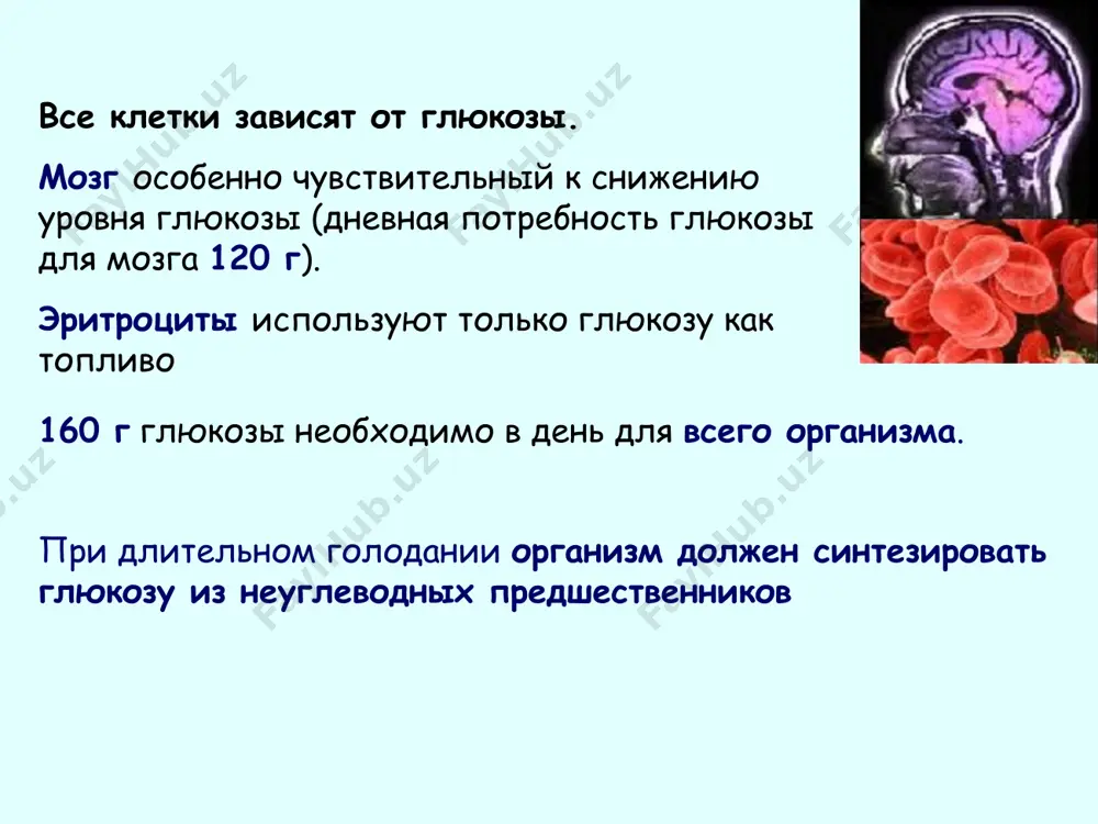 езависимый (80 %) инсулинозависимый – абсолютный дефицит инсулина в организме, проявляется в детском возрасте, склонность к кетоацидозу, лечится инсулином инсулинонезависимый – возникает у взрослых, обусловлен относительной недостаточностью инсулина, не осложняется кетоацидозом, не требует инсулинотерапии причины диабета і типа: 1) генетически детерминированный 2) аутоимунное поражение в детском возрасте - клеток поджелудочной причины диабета іі типа: 1) инсулин вирабатывается, но в плазме связывается с белками, которые блокируют его действие; 2) гиперактивация инсулиназы; 3) деффект рецепторного аппарата для инсулина; 4) дефект пострецепторной системы (аденилатциклазной) углеводный обмен при сахарном диабете угнетение гексокиназы (гепато-, мио- и адипоциты) усиление гликогенолиза активация глюконеогенеза нарушение роботы цикла кребса липидный обмен при диабете: снижение утилизации глюкозы снижение липогенеза мобилизация жира из депо липемия усиление кетогенеза и холестериногенеза кетонемия и холестеринемия кетонурия белковый обмен при диабете снижение утилизации глюкозы повышенный распад белка аминоацидемия, усиленное потребление глюкогенных аминокислот усиление глюконеогенеза биохимеческие проявления сахарного диабета: гипергликемия глюкозурия ( больше 10 ммоль/л) кетонемия, …