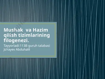mushak va hazim qilish tizimlarining filogenezi — PPTX