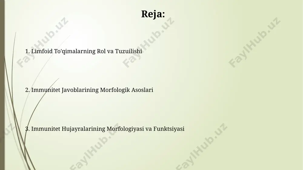 , t-limfotsitlar (t-yordamchi, t-sitotsitotoksik va t-regulyator kabi kichik guruhlarga bo'linadi) va nk-hujayralar (tabiiy killer hujayralar). ularning o'lchamlari va sitoplazma miqdori jihatidan farq qiladi. fagotsitlarning morfologiyasi va faoliyati monotsitlar, fagotsitlarning yana bir turi, 12-20 mkm gacha kattalikda boʻlib, buyraksimon yadroga va koʻp miqdorda sitoplazmaga ega, bu ularning katta miqdordagi patogenlarni yutish qobiliyatini ta'minlaydi. dendritik hujayralar, antigendan taqdimotchi hujayralar sifatida, nosimmetrik uzun shoxchalarga ega boʻlib, ularning yuzasida koʻplab mhc ii molekulalari mavjud, bu t-hujayralar bilan ta'sir oʻtkazish uchun zarur. immunitet tizimining morfologik tuzilmalari immunitet tizimining asosiy morfologik elementlari bo'lgan 10 dan ortiq turdagi immun hujayralarining o'ziga xos shakli va tuzilishi ularning funktsiyalariga moslashgan holda farqlanadi. iga, igg va igm kabi turli xil antitellarni ishlab chiqaradigan plazma hujayralarining morfologik xususiyatlari, ularning immun javoblarida o'ynaydigan rolini aniqlashda muhim ahamiyatga ega. limfa tugunlarining tuzilishi va immun javobida ishtiroki limfa tugunlari korteks, parakortikal zona va medulla qismlaridan iborat bo'lib, har bir zona turli limfotsit populyatsiyalarini (b-hujayralar, …