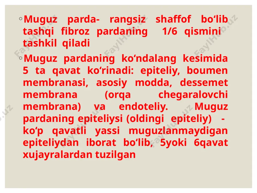 fotoretsepsiyaning morfologik asoslari - Page 5