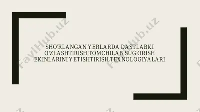 sho'rlangan yerlarda dastlabki o'zlashtirish, tomchilab sug'orish — PDF