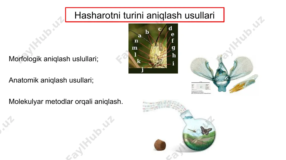 biotexnologiyada iq (intelligence quotient) darajasini ahamiyati - Page 3