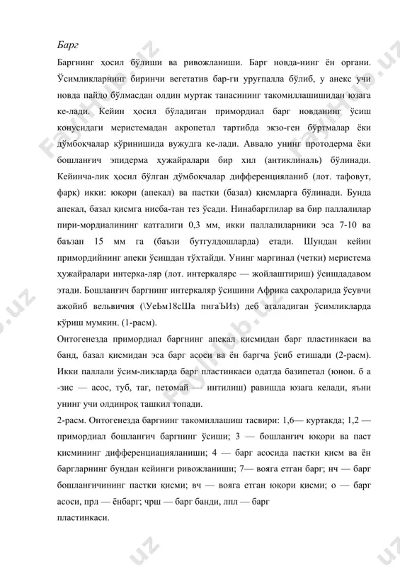 кларни қизиб кетишдан асрайди. барг сатҳининг ўсиши ёруғликни тутишга, газ алмашинишини кучайти-ришга ва сувни буғлатишга бўлган мослашишдир. бу мос- лашиш узоқ давом этган эволюция жараёнида ўсимлик-ларни муҳитга мослашиши натижасида вужудга келган. баргнинг пластинкаси ясси, унинг икки томони бир-бирвдан фарқ қилади. шунинг учун бундай барглар би-фациал (лот. б и — икки; ф а ц и о — томон, юз) ёки икки томонли барг деб аталади. барг ўзи жойлашган ўққа (по-яга) қараган томони жиҳатидан ҳар хил: унинг устки қис-ми адакциал (лот. ад — "га"; акс ис — ўқ), ён ёки остки қисми абаксиал (лот. абудан) деб аталади. баргнинг уст-ки ва остки қисми анатомик тузилиши, томирланиши ва ранги билан фарқ қилади. етилган типик барг уч қисмдан: барг пластинкаси, барг банди ва барг асоси (таги) дан иборат (4-расм, 1). кўзга кўринадиган типик барг пластинканинг энг эътиборли 4-расм. барг ва унинг қисмлари: 1 — бандли, 2 — бандсиз, 3 — ёстиқчали ёки бўртмали барг, 4 …