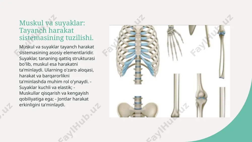 t bo'lib, inson tanasining harakat qilish, qo'llab-quvvatlash va barqarorlik uchun zarurdir. 02 traditsiyaviy amaliyot o'zbek madaniyatida tayanch harakat tizimi uchun an'anaviy usullar, masalan, jismoniy mashqlar va xalq o'yinlari muhim ahamiyatga ega. 03 sog'liq va faoliyat tayanch harakat tizimining sog'liq uchun ahamiyati yuqori. u jismoniy faoliyatni oshiradi, zararlanishlarni kamaytiradi va umuman hayot sifatini yaxshilaydi. tayanch harakat sistemasining sog'liq va faoliyatdagi roli: kattalar va bolalar uchun. kattalar va bolalar tayanch harakat sistemasining sog'liq va faoliyatdagi roli kattalar va bolalar uchun muhimdir, chunki harakat yetarlicha rivojlanishi va saqlanishi zarur. harakat va sog'liq harakat, mushak va suyaklarning mustahkamligini saqlashga yordam beradi, o'z navbatida immunitetni mustahkamlash va stressni kamaytirishga yordam beradi. o'sish va rivojlanish bolalar uchun tayanch harakat tizimi o'sish jarayonida muhim rol o'ynaydi, mukammal rivojlanish uchun muntazam jismoniy faoliyat zarur. kattalar uchun ahmiyat kattalar uchun tayanch harakat sistemasining sog'liqni saqlashdagi roli katta, bu qariyalar uchun muhim bo'lib, faol va sog'lom hayot kechirishga yordam beradi. …