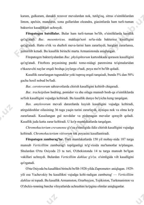 to'plangan. shulardan o'rta osiyoda 23 ta turi, o'zbekistonda 14 ta turga mansub bo'lgan vakillari uchraydi. bulardan verticilliim dahliae g'o'za. o'simligida vilt kasalligini qo'zgatadi. o'rta osiyoda bu kasallikni birinchi bo'lib 1928-yilda zaprometov aniqlagan. 1929-yili esa yachevskiy bu kasallikni vujudga kelti-radigan zamburug' — verticilliim dahliae ni topadi. bu kasallik armamston, ozarbayjon, tojikiston, turkmaniston va o'zbckis-tonning barcha viloyatlarida uchrashini ko'pgina olimlar aniqlaganlar. kasallik keng tarqalishining asosiy sababi bir yerga uzoq muddat bir xil o'simlikning ekilishidir. kasallik, asosan, kasailangan o'sirn-liklar qoldig'i, begona o'tlar, tuproq, suv, zararlangan urug', hatto havo orqali tarqaladi. vert, dahliae sun'iy oziqa muhitida, ayniqsa, chapek muhitida yaxshi o'sadi. boshqa zamburug'lar singari awaliga yumaloq, biroz bo'rtib ko'tarilgan, oq rangli mitsella hosil qiladi, 10 kundan keyin kulrang va jigarrangga kiradi. koloniyasi g'ovak, eni 1,5—3,5 am, 3—7 kun o'tgach, mitseliydan har tomonga turli kattalikdagi pufakchalar tarqaladi. bu pufakchalardan har tomonga qarab 2—3 tadan giflar chiqadi. koloniyasi bir hujayrali, ovalsimon, rangsiz, 1,5—2,7 rim kattalikda giflar …