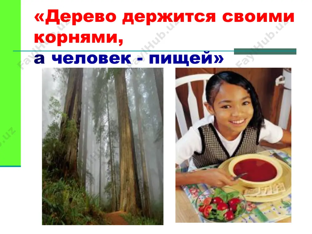 ы, не обладающие калорийностью, должны поступать в организм с пищей, и в каких количествах к а ч е с т в о совокупность свойств и характеристик продовольственного сырья, пищевых продуктов, готовой пищи, которые обусловливают способность удовлетворять физиологические потребности человека качество – комплексный показатель, объединяющий понятия: пищевой ценности биологической ценности потребительских свойств пищевая ценность пищи – комплекс свойств пищи, обеспечивающих физиологические потребности в веществах и энергии биологическая ценность пищи - способность обеспечивать нормальный обмен веществ и функциональную деятельность организма потребительские свойства продуктов определяются: - возможностью изготовления из них разнообразной качественной пищи, с хорошими вкусовыми качествами, - высокой усвояемостью - малой приедаемостью белки жиры углеводы главный строительный материал для клеток служат организму энергетическим резервом дают необходимую для работы энергию микроэлементы макроэлементы витамины к а ч е с т в о 17 капуста яблоко состав некоторых продуктов: 18 колбаса рыба состав некоторых продуктов: 19 мясо орех творог состав некоторых продуктов: 20 белки жиры …