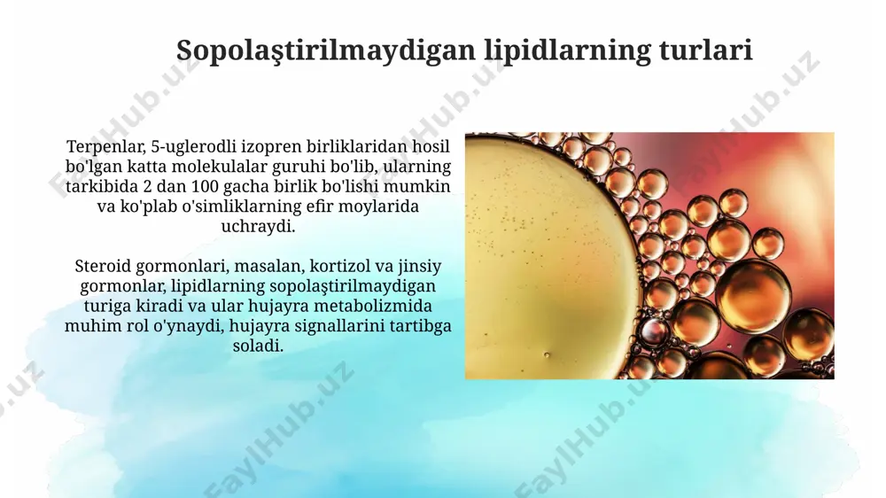 lipidlar. sovunlanadigan va sovunlanmaydigan lipidlar - Page 5