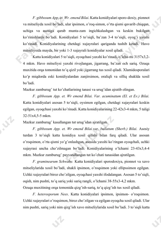 lai. asosiy turdan 3 to’siqli katta konidiya xosil qilishi bilan farq qiladi. ular asosan o’roqsimon, o’rta qismi yo’g’onlashgan, asosida yaxshi ko’ringan oyoqchali, uchki xujayrasi uncha cho’zilmagan bo’ladi. konidiyalarining o’lchami 23-43x3,4-4 mkm. mazkur zamburug’ payvandlangan tut ko’chati tanasidan ajratilgan. f. graminearum schwabe. katta konidiyalari sporodoxiya, pionnot va xavo mitseliylarida xosil bo’ladi, shakli ipsimon, o’roqsimon yoki ellipssimon egilgan. uchki xujayralari biroz cho’zilgan, oyoqchasi yaxshi ifodalangan. asosan 5 to’siqli, oqish, nim pushti, to’q sariq yoki sariq rangli, o’lchami 38-55x3-4,2 mkm. ozuqa muxitining orqa tomonida qizg’ish-sariq, to’q qizg’ish tus xosil qiladi. f. heterosporum nees. katta konidiyalari ipsimon, ipsimon- o’roqsimon. uchki xujayralari o’roqsimon, biroz cho’zilgan va egilgan oyoqcha xosil qiladi. ular nim pushti, sariq yoki nim qizg’ish xavo mitseliylarida xosil bo’ladi. 3 to’siqli katta konidiyalari 34-40x2,9-4,3 mkm, 5 taligi – 42-50x3-4,5 mkm. havo mitseliylari oq, nimpushti yoki sarg’ish. xlamidosporalari bir xujayrali, oraliqli, zanjirsimon, ba’zan konidiyadan xosil bo’ladi. mazkur zamburug’ tut daraxtlari, payvandlangan tut ko’chatlari va …