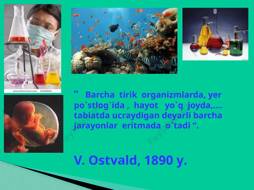 blastomerda------------ 3072 xromosoma bo`lsa 1 ta blastomerda----------x ta xromosoma bo`ladi. x=1*3072 / 64 = 48 ta 2n=48 n=24 genlarni birikish guruh soni gaploid to’plam soniga teng yani 24 ga o`tilgan mavzuni mustahkamlash: 1.postembrional rivojlanish qanday bo’ladi ? to’g’ri va noto’g’ri(metamorfoz) 2.to’g’ri rivojlanish? individ voyaga yetgan organizmga o’xshaydi 3.noto’g’ri rivojlanish – metamorfoz , tuxumdan qurt chiqib u voyaga yetgan organizmdan keskin farq qiladi 4.individual rivojlanishning qaysi bosqichida organizm o’sadi va jinsiy balog’atga yetadi- postemrional 5.assidiy qaysi tip va kenja tipga mansub- xordali; lichinkaxordalilar kenja tipi 6.assidiyning lichinkasi xordali hayvonlarning qaysi asosiy belgilarini o’zida mujassam etgan bo’ladi? xorda,nerv nayi,halqum atrofida jabra yoriqlari 7. uning qurti erkin suzib yuradi,keyin suv tubidagi qattiqroq narsaga yopishib metamorfozga uchraydi? assidiya 8. assidiyada metamorfoz jarayonida qaysi organlari yo’qolib ketadi? dumi, xordasi, muskuli 9.assidiyda qaysi hujayralar bo’linib fagositlarni hosilqiladi nerv 10.assidiyaning lichinkasidan nerv nayi hujayralaridan faqat qaysi hujayralar to’plami qoladi? nerv tuguni hosil qiladigan o`tilgan mavzuni mustahkamlash: yangi …
