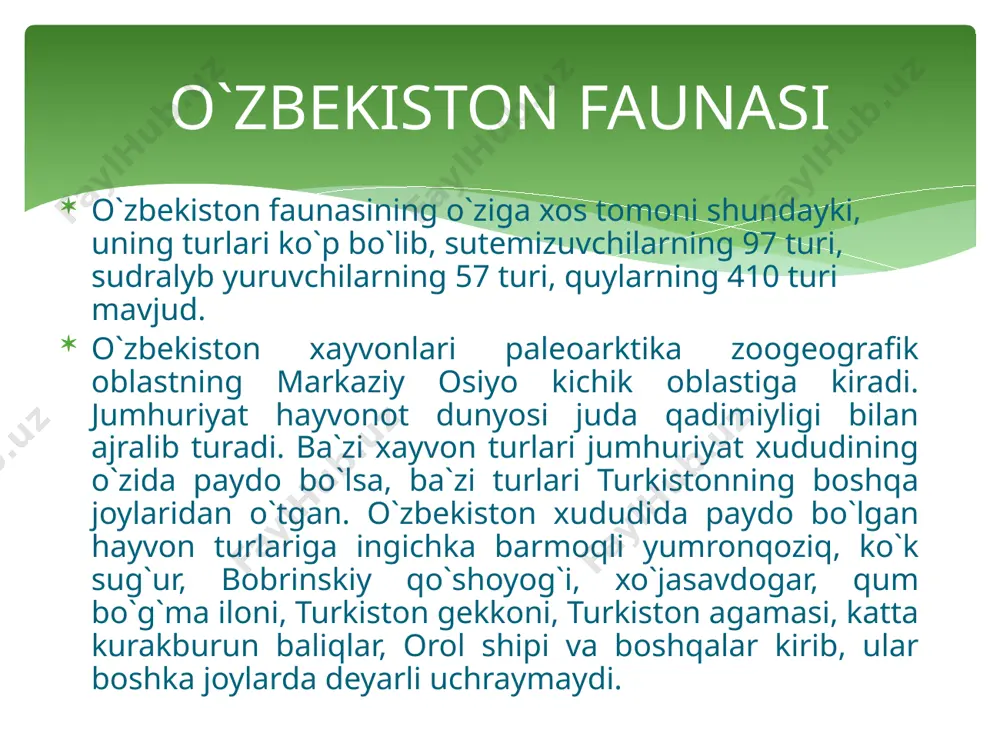 ri; kemiruvchilardan ingichka oyoqli yumronqoziq, qumsichqon, shalpangquloq, tipratikan, ko`shoyoqlar, ko`rsichqon; sudralib yuruvchilardan echkemar, qum bo`g`ma iloni, kapcha ilon (turkiston kobrasi), chipor ilon, xoldor chipor ilon, o`qilon, charxilon, kaltakesaklar, cho`l toshbaqa; qushlardan xo`jasavdogar, to`rg`ay, tentakkush, korabovur, yo`rg`a duvaloq, boyo`g`li, cho`l moyquti, qum chumchuri, cho`l karg`asi, so`fito`rg`ay kabilar yashaydi. cho`lda hasharotlardan qoraqurt, chayon, falanga, tarantul (biy), chigirtka kabilar mavjud. bular ichida qoraqurt, chayon, falanga, biy zaharli o`rgimchaklar turiga kiradi. cho`p hayvonlaridan echkemar, jayron, qum charxiloni, turkiston kobrasi (kapcha ilon), qoraqurt kabilar xakida qisqacha ma`lumot beramiz. adir balandlik mintaqasi hayvonlari cho`l hayvonlaridan farqlanadi. chunki hududning balandlashishi tufayli tabiat unsurlarining xususiyatlari o`zgaradi: yozgi harorat pasayadi, aksincha, yog`in miqdori ortadi, oqibat natijada o`simliklar zich o`sib, bo`yi baland bo`ladi. binobarin, hayvonlar uchun ozuqa miqdori ortib boradi. lekin hayvonlar tabiatning harakatchan unsuri bo`lganligi tufayli cho`lga xos bo`lgan ba`zi turlar (cho`l toshbaqasi, dumaloqbosh altakesak, sarik, ilon, malla yumronqoziq, echkemar va boshqalar) adirning quyi qismida ham yashaydi. image2.jpeg image3.jpeg …
