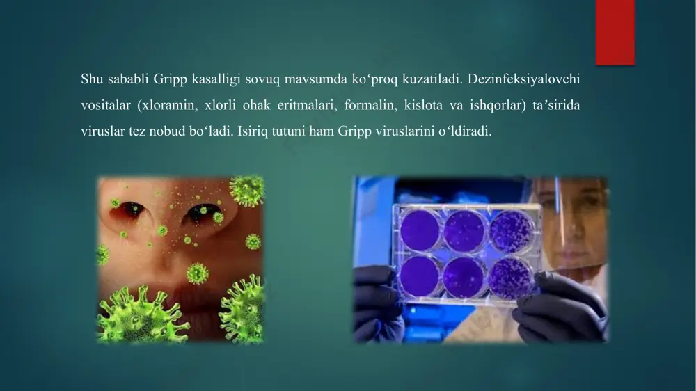 gatr- reaksiyasi yordamida gripp virusini nyukassl virusidan farqlash - Page 3