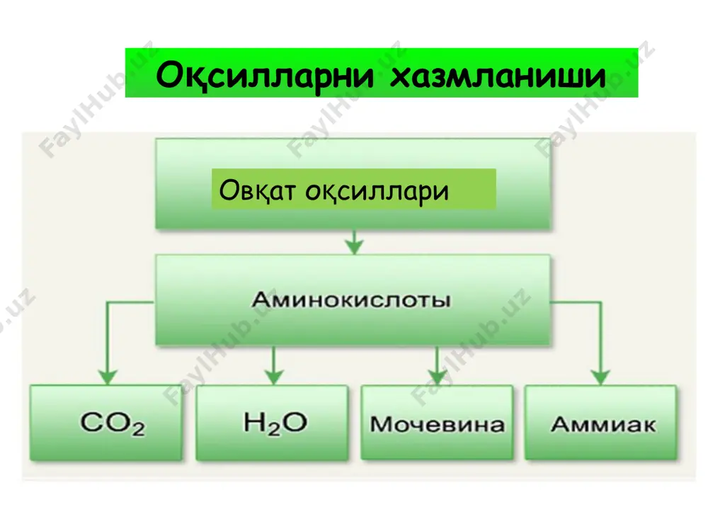 nh4+ иони na+ ва k+ транспортини бузади аммиакни захарлилиги vivax dent ушбу ашё нанотехнологиялар асосида келиб чиққан бўлиб, молекула даражасида таъсир қилади. vivax dent асоси пептидлар – улар бир неча аминокислоталардан ташкил топган бўлиб, ўзаро маълум бир кетма-кетликда жойлашган ва хар бир хужайра учун, айниқса шикастланган ҳужайра учун информация ташувчиси бўлиб хисобланади. натижада яллиғланишга қарши, қон тўхтатувчи ва ярани битишига ёрдам берувчи самарага эришилади. гистамин гистидиннинг декарбоксилланиши натижасида хосил бўлади. артериола ва капиллярларни кенгайтиради, натижада қон босимини пасайтиради; капиллярлар ўтказувчанлигини оширади; мия қон томирларининг кенгайиши ва қон суюқ қисмининг ажралиши натижасида мияда гипертензия ва бош оғриги вужудга келади; бронхлар силлиқ мушагининг қисқариши ва бронхоспазмнинг ривожланиши; ошкозон шираси ва сўлак хосил бўлишининг кўпайиши. аминокислоталар тиббиётда дори воситаси сифатида глутамин кислотаси – оксидланиш жараёнларини стимуллайди, аммиакни зарарсизлантиради ва организмдан чиыаришда, ацетилхолин ва атф синтезини кучайтиради, медиатор. мнс касалилкларини даволашда – эпилепсия, депрессия, церабрал паралич, даун синдромини даволашда ишлатилади. метионин – алмаштириб бщлмайдиган …
