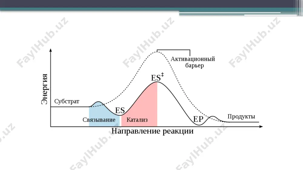 ферменты - Page 4