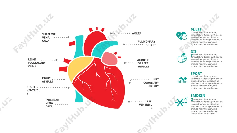 ostrud exercitation ullamco lorem ipsum dolor sit amet, consectetur adipiscing elit, sed do eiusmod tempor incididunt ut labore et dolore magna aliqua. ut enim ad minim veniam, quis nostrud exercitation ullamco laboris nisi ut aliquip ex ea infographic 01 infographic 02 infographic 03 infographic 04 lorem ipsum dolor sit amet, consectetur adipiscing elit, sed do eiusmod tempor incididunt ut labore et dolore magna aliqua. ut enim ad minim veniam, quis nostrud exercitation ullamco laboris nisi ut aliquip ex ea commodo consequat. duis aute irure dolor in reprehenderit in voluptate velit esse cillum dolore eu lorem ipsum dolor sit amet, consectetur adipiscing elit, sed do eiusmod tempor incididunt ut labore et dolore magna aliqua. ut enim ad minim veniam, quis nostrud exercitation ullamco laboris nisi ut aliquip ex ea commodo consequat. duis aute irure dolor in reprehenderit in voluptate velit esse cillum dolore eu lorem ipsum dolor sit amet, consectetur adipiscing …