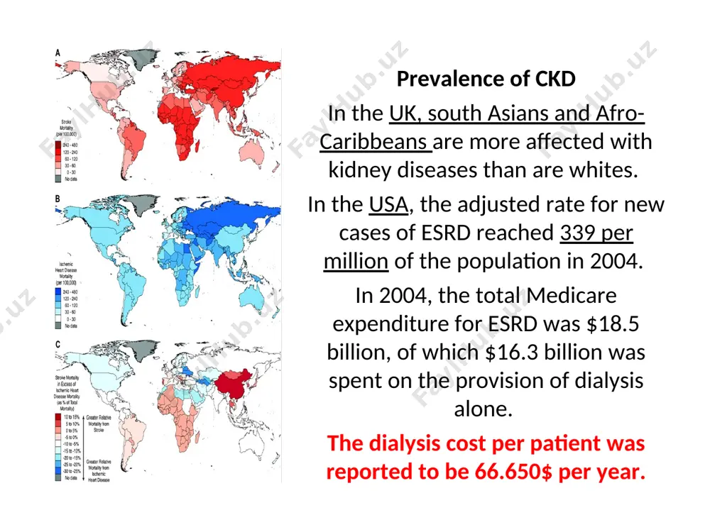 differential diagnosis of diseases with pathologic sediment in urea - Page 5