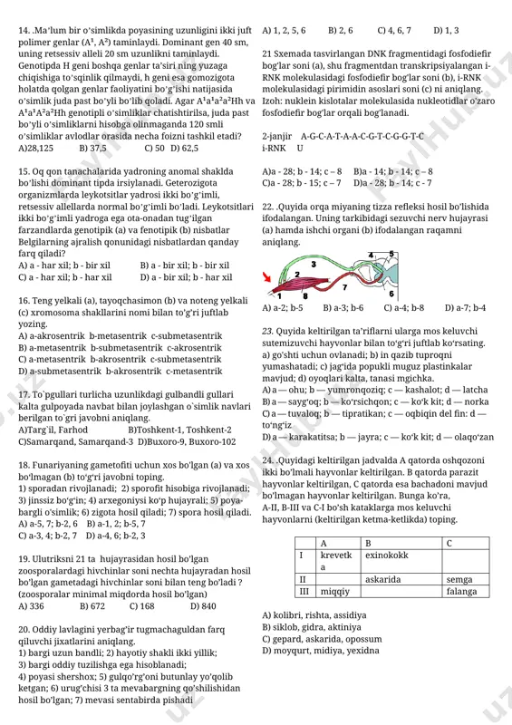 ,10 d) 4,8,5,6,7,10 6. noto’g’ri fikrni belgilang. a) jinsiy hujayra irsiy omillardan faqat bittasiga ega bo’ladi b) organizmlarda irsiy omillar juft bo’ladi va duragaylarda ota-onaning irsiy omillari aralashadi c) bir tur individlari o’rtasidagi tafovutlar irsiyatning moddiy asoslari o’zgarishiga bog’liq d) o’zgaruvchanlik organizmlarni mustahkamlaydi 7. pisum sativumning dominant(a) va resessiv(b) belgilarini ajrating? 1)gulining qizilligi 2)donining silliqligi 3)yashil rangli,silliq don 4)gulning poya uchida joylashishi 5)poyaning uzun bo'lishi 6)yashil rangli, bo'g'imsiz dukkak 7)sariq rangli bo'g'imli bo'g'imsiz dukkak 8)gulning barg qo'ltig'ida joylashishi a) a- 2,5,6; b- 3,7,8 b) a- 1,2,4; b- 3,6,8 c) a- 3,7,8; b- 2,5,6 d) a- 3,6,8; b- 1,2,4 8. 1.bir sinfga kiruvchi. 2. bir turkumga kurivchi. 3. bir tipga kiruvchi xayvonlarni aniqlang . a) 1. exinakokk va qoramol tasmasimon chuvalchang 2. silovsin va latcha 3. tibbiyot zuligi va nereida. b) 1.karakatitsa va kalmar. 2.triton va iguana. 3. kolibri va tapir. c) 1. krab va kalmar. 2. nanda va emu. 3. …