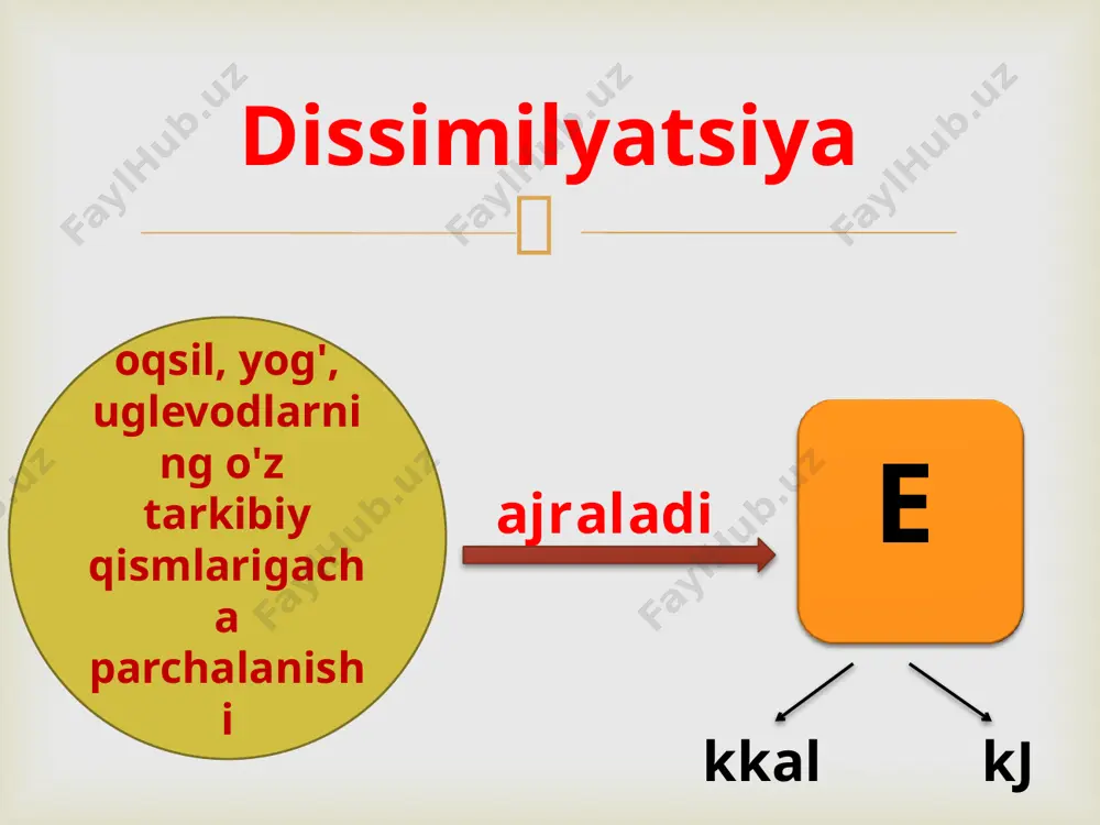 tirik organizmlarning xususiyatlari - Page 5