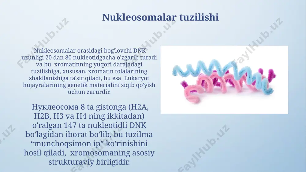 masalan, 5-metilsitoxin (5mc) ning qo'shilishi yoki 14-lizinning atsetillanishi, dnk transkripsiyasining darajasini o'zgartirishi mumkin; bu jarayonlar inson genomi bo'yicha keng tarqalgan. xromatin va kasalliklar xromatinning o'zgarishi, masalan, gistonga metilasyonning o'zgarishi saraton hujayralarining 50% dan ortig'ida uchraydi va bu kasallikning rivojlanishiga va tarqalishiga hissa qo'shadi. xromatinning noto'g'ri tuzilishi, masalan, 21-xromosomaning trisomiyasi (down sindromi) kabi genetik kasalliklarga olib kelishi mumkin, bu esa dunyo bo'ylab 700 dan ortiq tug'ilishda uchraydi. e'tiboringiz uchun rahmat @taqdimot_robot image4.png image5.jpg image6.jpg image7.jpg image8.jpg image9.jpg image10.jpg image11.jpg image12.jpg image13.jpg image14.jpg image15.jpg image16.jpg image17.jpg image18.jpg image19.jpg image20.jpg image21.jpg image3.jpeg