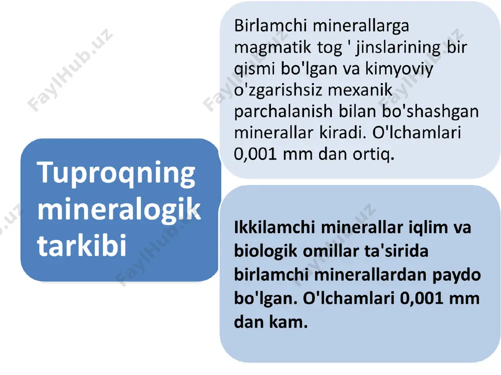 ozgina gidroksidi tuproq asoslarini o'z ichiga oladi. 20 mg-ekv gacha bo'lgan assimilyatsiya hajmi. 100 g uchun tuproqlarda kaolinitning ustunligi ularning asoslari bilan qashshoqlik belgisidir. gidroslyudlar o'simliklar uchun muhim kaliy manbai 6-7% gacha. slyuda va dala shpatlaridan hosil bo'ladi. gilli minerallarining roli biosferaning eng muhim tarkibiy qismi sifatida tuproqlarning zamonaviy dinamikasi, evolyutsiyasi va o'zini o'zi boshqarish qobiliyatini belgilaydi. loy minerallarining shakllanishi, o'zgarishi, harakatlanishi, yo'q qilinishi jarayonlari tuproq profilini shakllantirishda ishtirok etadi. tuproqshunoslikning genetik muammolarini hal qilishda ularni o'rganish zarur. gumus bilan bir qatorda tuproqlarning fizik-kimyoviy yutilish qobiliyati va o'simliklarning mineral oziqlanishi sharoitlari aniqlanadi. tuproq global ekologik funktsiyalarni – bioenergetik (quyosh energiyasini kristall panjaralarda"saqlaydi"), kontakt-tartibga solish, gidrologik, gaz, sanitariya va boshqalarni amalga oshirishni belgilaydi. tuproqlarning suv-fizik va fizik – mexanik xususiyatlari loy minerallarining miqdori va tarkibiga bog'liq-ularning suvni ushlab turish qobiliyati, yopishqoqligi, plastisitivligi, tuzilish qobiliyati, ishlov berish qarshiligi va boshqalar. ular tuproq mikroorganizmlariga ta'sir qiladi, chunki mikrobiotaning ko'plab vakillari loy minerallari yuzasida …