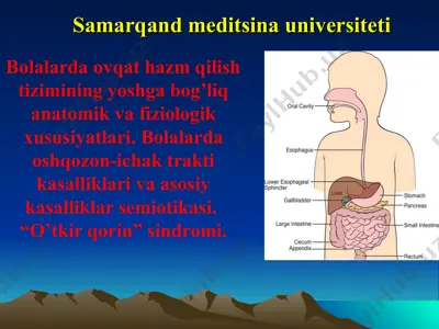 bolalarda ovqat hazm qilish tizimi — PPT