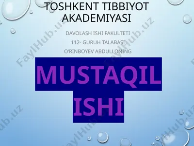 temur tuzuklari va uning hozirgi davrdagi ahamiyati — PPTX