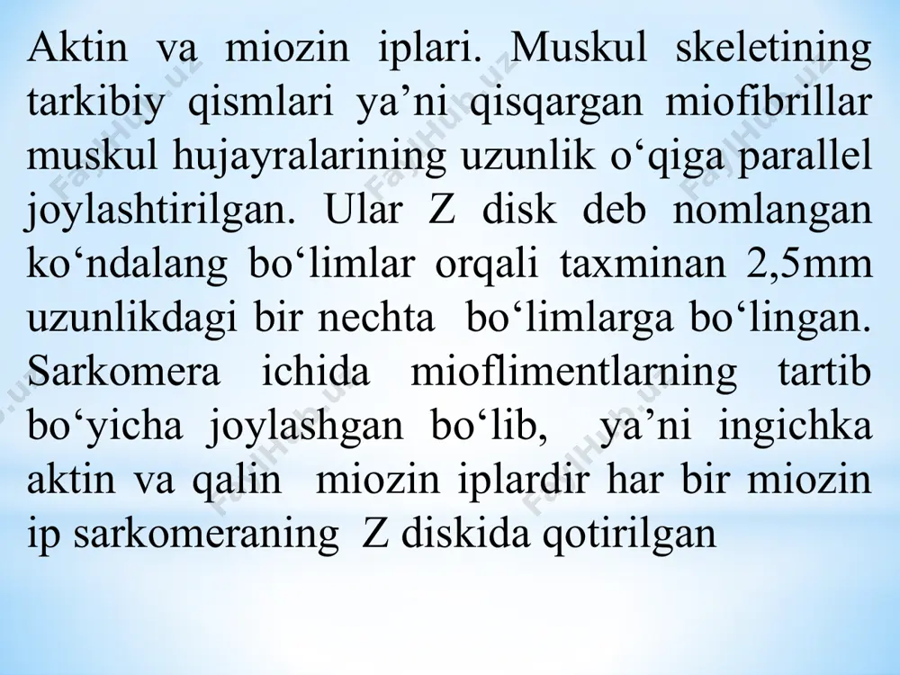 uning о‘zini yoki asab tolasini bо‘sag‘a kuchi bilan ta’sirlaganimizda yuzaga keladi. mushak qо‘zg‘aluvchanligi asab qо‘zg‘aluvchanligidan past (ya’ni bо‘sag‘asi yuqori). tinchlik potensiali-90mv, qutbsizlanishning kritik darajasi-40mv, harakat potensiali-120mv. harakat potensialining davomiyligi - 1-3msek. bir butun mushak «bor yoki yо‘q» qonuniga bо‘ysinmaydi, mushak tolasi esa bо‘ysinadi. bir butun mushak qisqarish amplitudasi ma’lum bir darajagacha ta’sirot kuchiga bog‘liq bо‘ladi. образец текста второй уровень третий уровень четвертый уровень пятый уровень faoliyat davomida skelet mushagi tetanik (summatsiya) ravishda qisqaradi, u ta’sirot chastotasiga bog‘liq xolda tishli va silliq bо‘lishi mumkin. chastota qancha yuqori bо‘lsa, qisqarishlar qо‘shilib, amplituda shuncha yuqori (optimum), lekin ma’lum bir chastotagacha…yana chastotani oshirish amplitudani pasayishiga (pessimumga) olib keladi. uzoq vaqt tetanusdan keyin posttetanik kontraktura kuzatiladi. образец текста второй уровень третий уровень четвертый уровень пятый уровень образец текста второй уровень третий уровень четвертый уровень пятый уровень kontraktura (k) –mushak qisqarishining turi bо‘lib, davomiyligi bilan xarakterlanadi. kontraktura bо‘lishi mumkin: qaytar(fiziologik) uzoq vaqt ishdan sо‘ng va qaytmas …