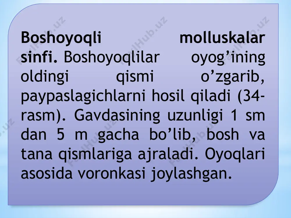 boshoyoqli molyuskalar sinfi - Page 4