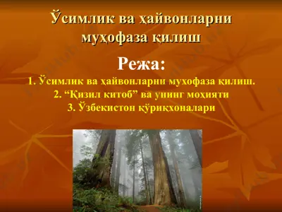 o'simlik va hayvonlarni muhofaza qilish — PPT