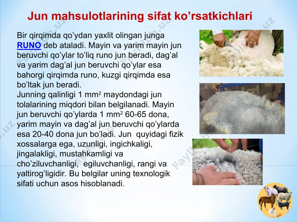 omillar. qo’ylarning semizlik kategoriyalari. qo’ylar go’shtini hisoblash va baholash. emizakli sovliqlarni oziqlantirish. emizakli sovliqlarning sut mahsuldorligi va unga ta’sir qiluvchi omillar. qo’zilarni sovliqlardan ajratish. qo’ylarning jun mahsuldorligi. sovliqlarni qochirish va tul mavsumi. mavsumlarga tayyorgarlik va uni o’tkazish. qo’ylarning sut mahsuldorligi. sovliqlarning sut mahsuldorligiga ta’sir qiluvchi omillar. qo’ylar podasini qayta tiklash. jinsiy va jismoniy balog’at yoshi. qochirish usullari. qo’ylarning biologik xususiyatlari. qo’ylarning po’stinbop teri mahsuldorligi. qo’ylarning mo’ynabop teri mahsuldorligi. fanning nomi: chorvachilik +99899 907 74 23 +99893 975 74 14 adabiyotlar ba’zasidan foydalanish uchun qr kod katta o’qituvchi, javharov oybek zulfiqorovich жавхаров .о *