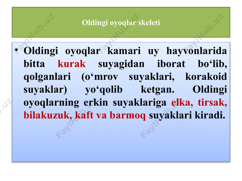 oyoq suyaklarini morfofunktsional tuzilishi - Page 5
