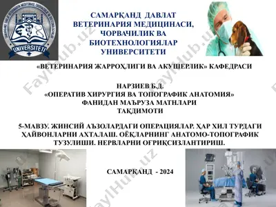 veterinariya jarrohligi va akusherlik matnlari — PPTX