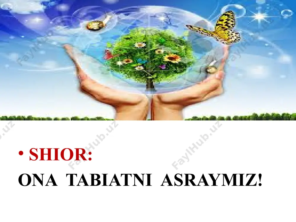 ; tut, tol, qayrag‘och, o‘rik, olma va boshqalaming kurtagi nisbatan mayda bo'ladi. ana shunday kurtaklarga qarab o‘simliklar turini aniqlash mumkin. kurtaklar novdada ketma-ket, qarama-qarshi halqa hosil qilib joylashadi. novdaning uchida joylashgan kurtaklar uehki kurtak, barg qo‘ltig‘ida joylashganlari yon kurtak deb ataladi. shuning- dek, qo‘shimcha kurtaklar (ildizda, bargda) ham bo‘ladi. quyida ko‘pchilikka tanish manzarali o‘simlik - terakning kurtaklari bilan tanishamiz. ular novdada ketma-ket joylashadi, eng uchidagi kurtak yirik, pastdagilari maydaroq bo‘ladi. terakning kurtaklari tashqi tomondan pishiq qobiq (tangacha barg) bilan o‘ralgan. bu qobiq ulami, ayniqsa, qishning qattiq sovug‘idan, kasallik tug‘diruvchi bakteriya, zamburug‘lardan saqlaydi. kurtaklar uzunasiga kesib qaralsa, qobig’i ostida joylashgan boshlang‘ich poyani va zich bo‘lib joylashgan boshlang‘ich barglarni ko‘rish mumkin. kurtaklar qishki tinim davridan o‘tgach o‘sa boshlaydi. tajribadan shu narsa ma’lumki, kech kuzda barglar to‘kilgandan keyin daraxt va butalaming shoxlaridan kesib olib suvga solib qo‘yilsa, kurtaklar ko‘p vaqtgacha bo‘rtmay turaveradi. agar shoxchalar yanvarning ikkinchi yarmi va fevralda suvga solib qo‘yilsa, kurtaklari …