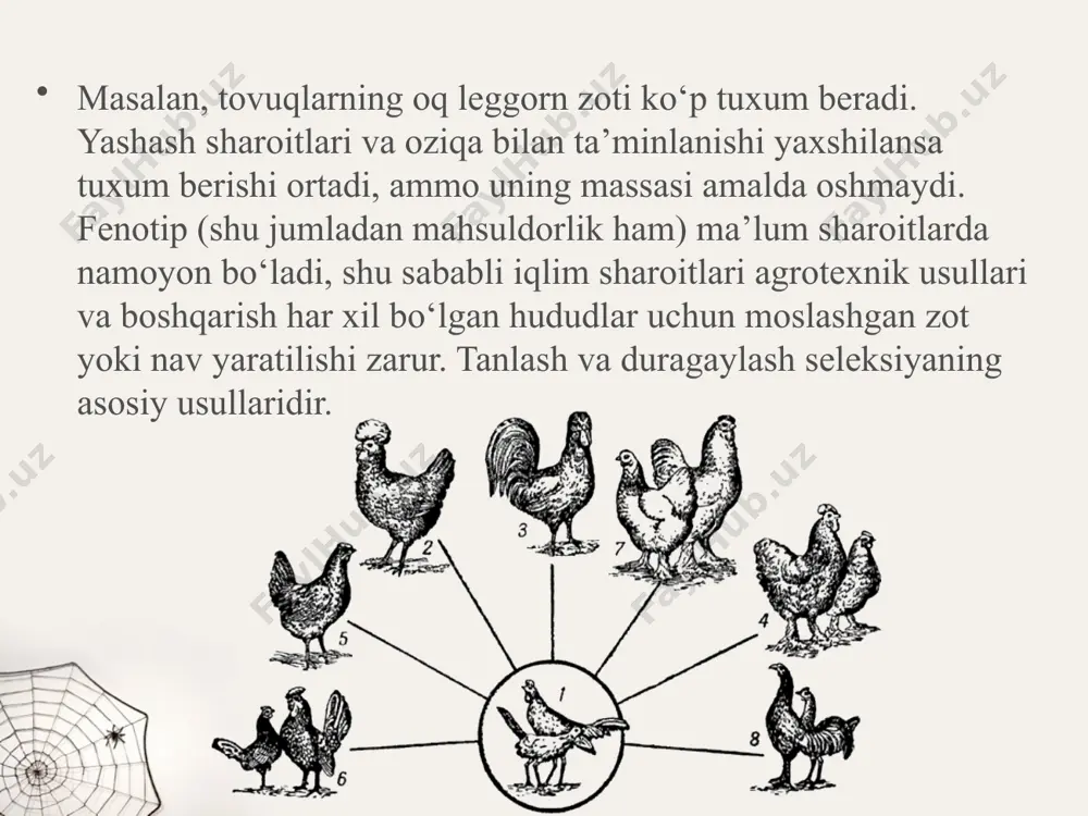 bilan farqlanadigan poliploid o‘simliklar ham olinadi ( 74—75­ rasmlar). beda, qand lavlagi, javdar, grechixa, moyli o‘simliklarning poli ploidli navlari keng tarqalgan. savol va topshiriqlar zot va nav deb nimaga aytiladi? seleksiyaning qanday asosiy usullarini bilasiz? duragaylash qaysi maqsadlarda ishlatiladi? poliploid navlarning qaysi jihatlarini bilasiz? image2.jpeg image3.jpeg image4.jpeg image5.png image6.jpeg image7.jpeg image8.jpeg image9.jpeg image10.jpeg image11.jpeg image1.jpeg