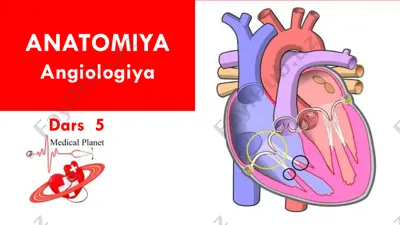 anatomiya — PDF