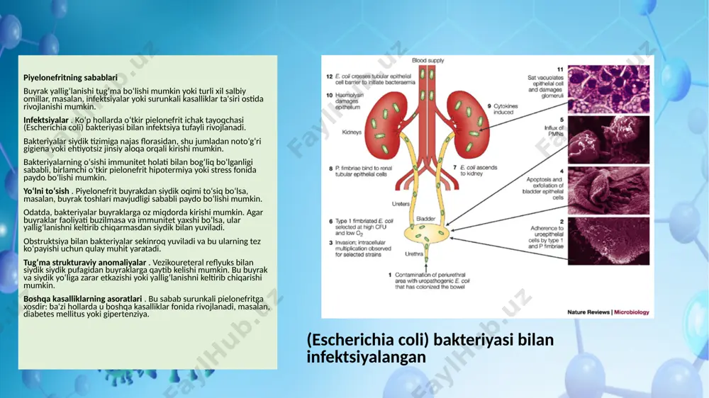 (qo‘ng‘iroq), periferik qon tomir kasalliklari (qon aylanishining buzilishi) va limfa tizimi kasalliklari bo‘lgan odamlar teri va yumshoq to‘qimalar infektsiyalariga ko‘proq moyil bo‘ladi. mrsa odatda terida topilgan, antibiotiklarga chidamli bo‘lib qolgan staphylococcus aureus bakteriyalarining o‘ziga xos shtammidir . sog‘liqni saqlash muassasalarida yoki kommunal sharoitda yashovchi odamlar (qamoqxonalar, harbiy kazarmalar va hatto kiyinish xonalarini baham ko‘radigan sportchilar) mrsa bilan kasallanish ehtimoli ko‘proq. teri infektsiyasi testi test nomi namuna turlari natijalar vaqti koh tayyorlash (kaliy gidroksid eritmasi) terini qirib tashlash, soch yoki tirnoq qirqishlari, to‘qima, vaginal tampon, tana suyuqliklari, balg‘am tez kalkoflorli oq dog ' terini qirib tashlash, sochlar yoki tirnoqlarni kesish, vaginal tampon, tana suyuqliklari, balg‘am tez teri infektsiyasini qanday oldini olish mumkin teri infektsiyasining oldini olish, birinchi navbatda, sizni yuqtirishi mumkin bo‘lgan mikroblarning ta'sirini kamaytirish yoki oldini olish demakdir. quyidagi choralar infektsiyani yuqtirish xavfini kamaytirishi mumkin: qo‘lingizni ehtiyotkorlik bilan va yaxshilab yuving , ayniqsa ovqatdan oldin va ovqatdan keyin sport zalida …