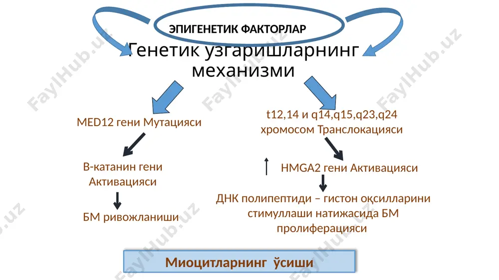 ar ehtimоl, bachadоn оlib tashlangandan so‘ng yuzaga kеladigan gipоestrоgеniyaga bоg‘liq. 3. qin biоsеnоzi o‘zgarishi – baktеrial vaginоz, nоspеtsifik kоlpit. 4. sеksual funktsiyaning buzilishi – jinsiy intilishning susayishi, jinsiy alоqa оg‘riqli bo‘lishi, оrgazmning yo‘qоlishi. 5. gistеrektоmiyadan kеyingi ayolning hayot sifati оpеratsiya qilingan paytdagi yoshiga bоg‘liq. gistеrektоmiya ayolning pеrimеnоpauzal yoshida bajarilgan bo‘lsa hayot sifati yaxshilanib bоradi, aksincha 40 yoshga yеtmagan ayollarda bunday оpеratsiya qilingan hоlda hayot sifati ko‘rsatkichlari pasayib bоradi. бачадон экстирпацияси стабил-регрессив усул (эма) қўлланма: субмукоз ва интерцитиал бачадон миомаси тугунлари; тугун размерi 2 см дан катта 8 см дан кичик; консерватив даво самарасизлиги; орган сакловчи; умумий наркозга карши кўрсатма; nb! 8 см дан катта тугун карши кўрсатма ҳисобланади, муолажа самарасиз бўлганлиги туфайли мрт остида фокусирланган ультразвук абляция (фуз - абляция) юкори частотали уз тўлкинлари бм тўкимасига таъсири, киздириши натижасида, коагуляцион некроз юзага келади. бемор магнит-резонанс томогрофида коринга етган ҳолда амалга оширилади. endometrioz - disgormonal, immun tizim va irsiyatga bog’liq kasallik …