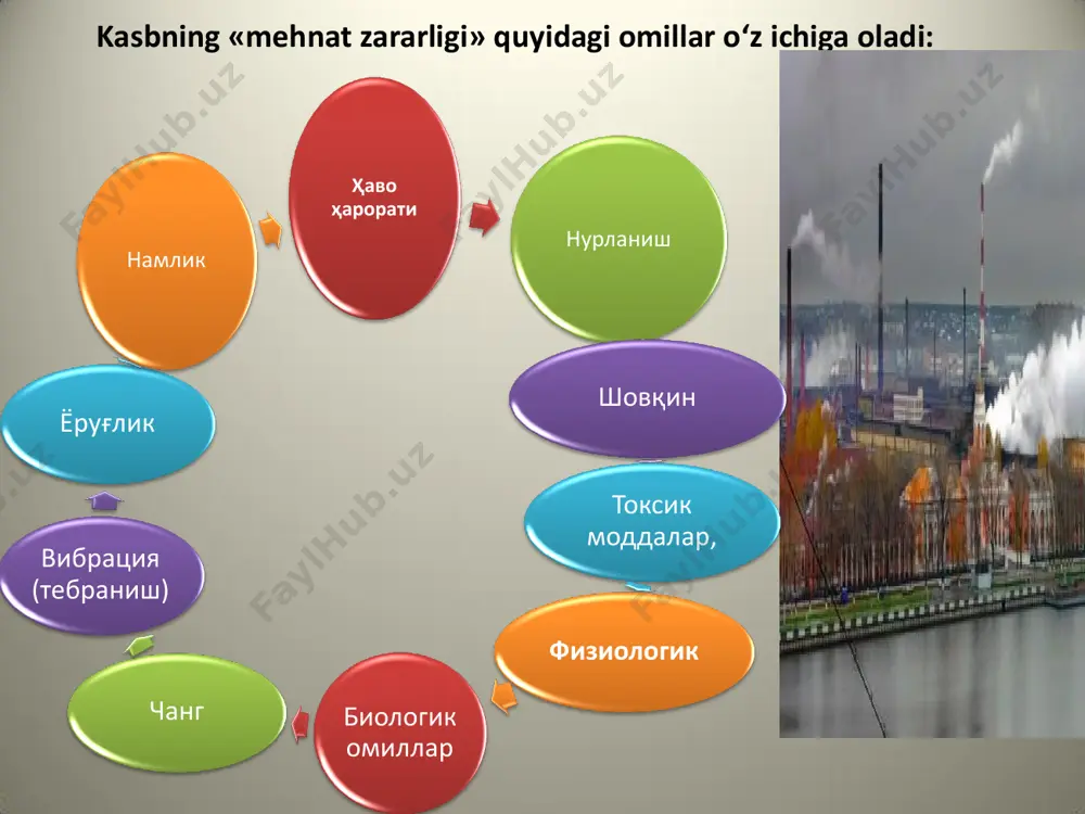 yo‘nalishda olib boriladi: vibratsiya (tebranish) maxalliy vibratsiya chastotasi bo‘yicha quyidagi turlarga bo‘linadi : 1. past chastotali8 – 16 gs. 2. o‘rtacha 31.5 – 63 gs. 3. yukori 125.250.500.1000 gs. ish joylaridagi vibratsiya o‘z navbatida quyidagi turlarga bo‘linadi : 1. past chastotali0.8 – 6.3 gs. 2. o‘rtacha 8 – 25 gs. 3. yuqori 31.5 – 80 gs. vibratsiya kasalligi uzoq vaqt davomida noqulay ob–havo sharoitida ishlaganda vibratsiya ta’sirida organizmda o‘zgarishlar, jumladan vibratsiya kasalligi kelib chikishi mumkin. maxalliy va umumiy vibratsiya kasalligi tafovut kilinadi. vibratsiya kasalligi asosida asab – reflektor va neyrogumoral mexanizmdagi murakkab o‘zgarishlar yotadi, bu o‘z navbatida retseptor apparatida va markaziy asab sistemasida jiddiy o‘zgarishlar keltirib chiqaradi. buning oqibatida qon tomir tonusini boshqaradigan sistema ko‘proq zararlanadi. kuchli vibratsiya organizmning tayanch xarakat a’zolariga ( mushaklarga, biriktiruvchi to‘qimalarga, bo‘g‘imlarga) bevosita ta’sir etishi ham mumkin. vibratsiya kasalligini birinchi marta 1911 yilda italiyalik olim – vrach g.lori ta’riflab bergan. kasallik asta –sekin boshlanib, uzoq …