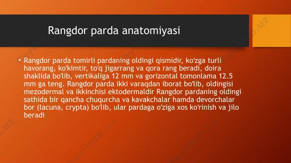 qorachiq atrofidagi yuqorida taʼriflangan boʻrtiqroq doira uning oldingi sathini mayda va yirik naqshli ikkita doira qismga ajratadi. bular qorachiq atrofi va kipriksimon tana zonalari deyiladi. koʻzga yogʻdu tekshirganda bu zonalardan biri mayda-mayda chiziqli va ikkinchisi yirik shaklli boʻlib, yaqqol koʻrinib turadi. ular normal holatining oʻzgarishi rangdor pardaning turli kasalliklariga tashxis qoʻyishda katta ahamiyatga ega. hozirgi zamon iridodiagnostika usuli nuqtai nazaridan qaraganda rangdor pardadagi pigment dogʻlari mayda-mayda chiziq va shakllarning oʻzgarishi va oʻzgacha joylashishi faqatgina koʻz patologik kasalliklarini emas, balki butun tanada paydo boʻladigan oʻzgarishlarni aniqlashga imkon beradi. rangdor parda anatomiyasi qorachiq rangdor kengayganda pardaning kipriksimon tana oldi zonasida bir necha qator gardishga oʻxshash burmachalar paydo boʻladi. qorachiq torayganda esa burmachalar tekislanib, oʻrni aylana tasmaga oʻxshab turadi. rangdor pardaning eng yupqa — 0,2 mm ga teng joyining kipiksimon tanaga oʻtishi chegara qismdir. koʻzga tushadigan yorugʻ nurlarni rangdor parda qorachigʻi oʻzining torayish va kengayish xususiyati bilan nazorat qiladi, shuning uchun rangdor pardani …