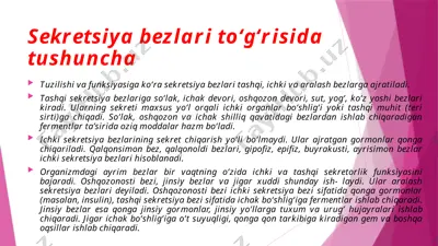 sekretsiya bezlari to‘g‘risida tushuncha — PPTX