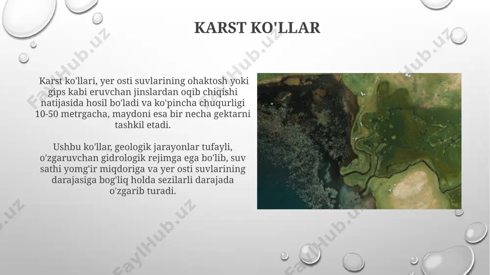ko‘llarning genetik tasnifi - Page 4
