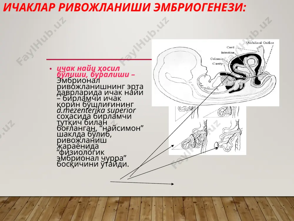 оз аломатларидан бири, меъда перисталтикаси кучайиши, юпқалашган корин деворидан «қумли соат» белгиси баъзида гипертрофияланган пилорик жомни пальпация қилиш мумкин бола аҳволи бир ҳафта ичида оғирлаштириб, гипотрофияга олиб келиши мумкин бу ҳолатда сув электролит ва ишқор-кислота мувозанати тезда бузилади. туғма пилоростеноз. лаборатория таҳлилида қоннинг қуюқлашиши кузатилади гемоглобин ва гематокрит кўтарилиб хлор ва калий қонда камаяди туғма пилоростеноз. фиброгастроскопия қилиб текширганда меъда кириш қисмининг кенгайганлиги пилорик қисмининг торайганлиги кўринади. туғма пилоростеноз - рентгеография эрталаб оч қоринга ўтказилади. умумий рентген қилиниб, меъда ҳажми кўрилади барийнинг сувли аралашмаси 1;1 нисбатда берилади 2-3 соатдан ва 23—24 соатлардан кейин рентген қилинади. пилоростеноз белгилари : меъда хажмининг катталашганлиги – гастрошизис, пастга тушиши – “гастроптоз” меъданинг чуқур сегментли перисталтикаси - гиперперистальтика, “қум соати”; жомнинг торайганлиги («қуш тумшуқ» симптоми) контраст модданинг меъдада 2 соатдан 24 соатгача туриб қолиши. туғма пилоростеноз дифференциал диагностика – пилороспазм адреногенитал (псевдопилеростеноз) синдром ошқозон-қизилўнгач рефлюкси ўн икки бармоқли ичакнинг фатер сўрғичидан юқоридаги стенози туғма қисман …