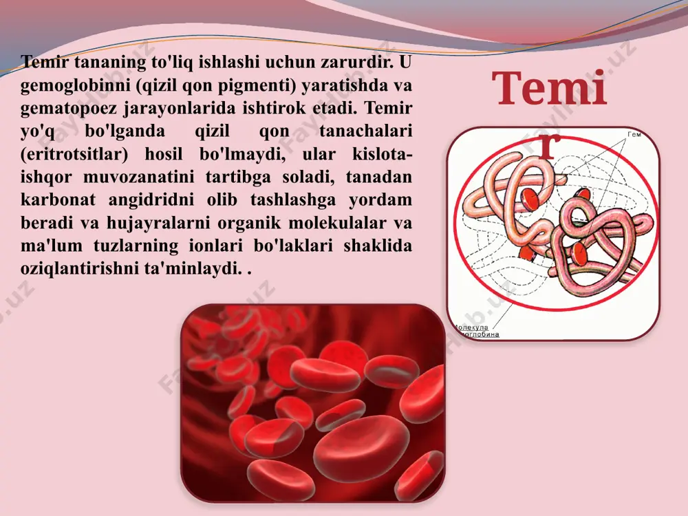 mikro va makro elementlar haqida ma'lumotlar - Page 5