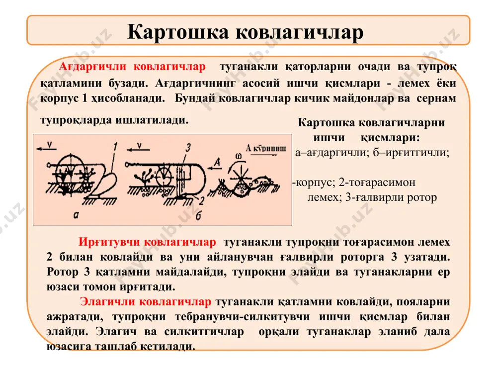 ракат қилади. теримчилар пишган сабзавотларни териб халталарга солади. халталар тўлгач йиғувчи бункер 2 га тўкилади, сўнгра бункердаги сабзавотлар кўндаланг транспортер 3 га ағдарилиб у билан кўтарувчи транспотер 4 га етказилади. кўтарувчи транспортер 4 ўз навбатида сабзавотларни яшик 5 ларга жойлайди. тўлган яшиклар тиркама кузовига жойлаштирилади ва даланинг охирида яшиклар ерга тушириб тахланади. карам йиғиштириш машинаси карам ҳосилини йиғиштириб олиш машинаси қирқувчи аппрат, узатувчи транспортер, шнекли барг ажратувчи 13, саралаш столи 12, юкловчи транспортер 10, юмшоқ узатувчи 11 дан иборат. машина бир вақтни ўзида йиғиштирилган карамни ёнида кетаётган транспорт воситасига юклаб кетади. карам йиғиш машинасини тузилиши ва иш жараёни: 1-дискли пичоқ; 2,4 - шнеклар; 3-редуктор; 5-конус; 6-ғилдирак; 7-транспортер; 8,11- шнеклар; 9,10-транспортер; 12-саралаш столи; 13-барг ажратгич. машина олдинга харакат қилганда айланувчи конуслар 5 ва қабул қилувчи шнеклар 4 карамнинг очиқ барглари тагига киради уни кўтаради ва текисловчи шнек 7 га узатади. бунда карам текисланиб, у пичоқ 1 ёрдамида кесилади ва йўналтирувчи транспортер …