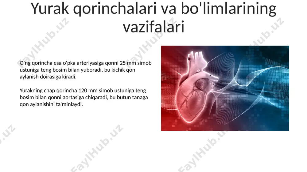 yurak va uning funksiyasi - Page 5