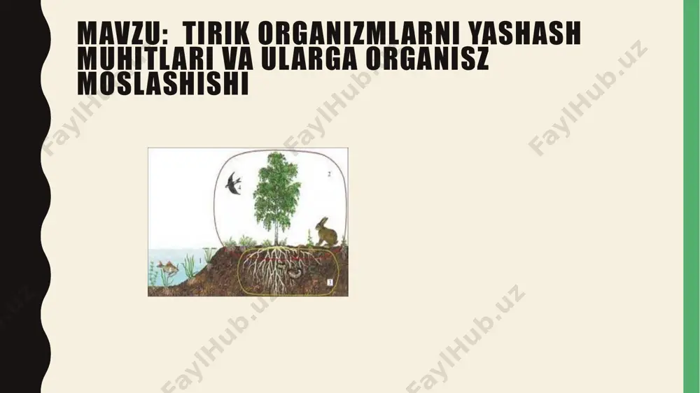 ecological environment and organisms - Page 2
