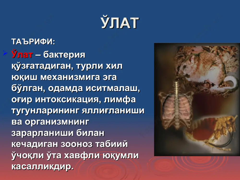 бўлиб ўтган пандемияларида 200 млн.га яқин киши вафот этган. тарихий маълумотлар ва географик тарқалиши (давоми) д.к.заболотний ўлат табиий ўчоқли касаллик эканлиги тўғрисидаги гипотезани илгари сурган бўлса, учинчи пандемия даврида, аниқроғи, 1897 йилда француз олими александр йерсин ва унинг япониялик ҳамкасби шибасабуро китазатолар бемор одам ва каламушдан ўлат касаллигининг қўзғатувчисини аниқлаган. тарихий маълумотлар ва географик тарқалиши (давоми) огата ва симонлар 1898 йилда ўлат касаллиги тарқалишида бургаларнинг роли борлигини эътироф этишган. д.к.заболотний ва л.м.исаевлар 1911 йилда чўлдан тутиб олиб келинган кемирувчи (суғур) дан, и.а.деминский 1912 йилда юмронқозиқдан ўлат қўзғатувчисини ажратиб олган. бокот ва мартинлар ўлат қўзғатувчиси юққан бургадан «ўлат блоки» феноменини аниқлашга муваффақ бўлган. тарихий маълумотлар ва географик тарқалиши (давоми) охирги йилларда дунёда ўлат касаллигининг эпидемияси кузатилмаяпти,бугунги кунда бу касаллик фақат спорадик (тарқоқ) ҳолатда чўл ва тоғ табиий ўчоқ ҳудудларида рўйхатга олинмоқда. республикамизда ўлат касаллигининг охирги ҳолатлари 1990,1999 йилларда навоий вилоятининг чўл ҳудудларида рўйхатга олинган (учқудуқ ва томди туманларида). тарихий маълумотлар ва …