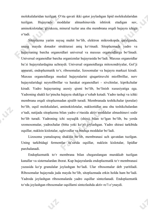 qavat tuzilishga ega bo‘lib, har bir qavati taxminan 25a qalinlikda bo‘ladi. tashqi va ichki qavatlari bir qator joylashgan oqsil molekulalaridan tuzilgan. o‘rta qavati ikki qator joylashgan lipid molekulalaridan tuzilgan. hujayrada moddalar almashinuvida ishtirok etadigan suv, aminokislotalar, glyukoza, mineral tuzlar ana shu membrana orqali hujayra ichiga o‘tadi. sitoplazma yarim suyuq muhit bo‘lib, elektron mikroskopda qaralganda, uning mayda donador strukturasi aniq ko‘rinadi. sitoplazmada yadro va hujayraning barcha organoidlari universal va maxsus organoidlarga bo‘linadi. universal organoidlar barcha organizmlar hujayrasida bo‘ladi. maxsus organoidlar ba’zi hujayralardagina uchraydi. universal organoidlarga mitoxondriyalar, gol’ji apparati, endoplazmatik to‘r, ribosomalar, lizosomalar va hujayra markazi kiradi. maxsus organoidlarga muskul hujayralarini qisqartiruvchi miofibrillar, nerv hujayralaridagi neyrofibrillar va harakat organoidlari - xivchinlar, kiprikchalar kiradi. yadro hujayraning asosiy qismi bo‘lib, bo‘linish xususiyatiga ega. yadroning shakli ko‘pincha hujayra shakliga o‘xshab ketadi. yadro tashqi va ichki membrana orqali sitoplazmadan ajralib turadi. membranada teshikchalar (poralar) bo‘lib, oqsil molekulalari, aminokislotalar, nukleotidlar ana shu teshikchalardan o‘tadi, natijada sitoplazma bilan …
