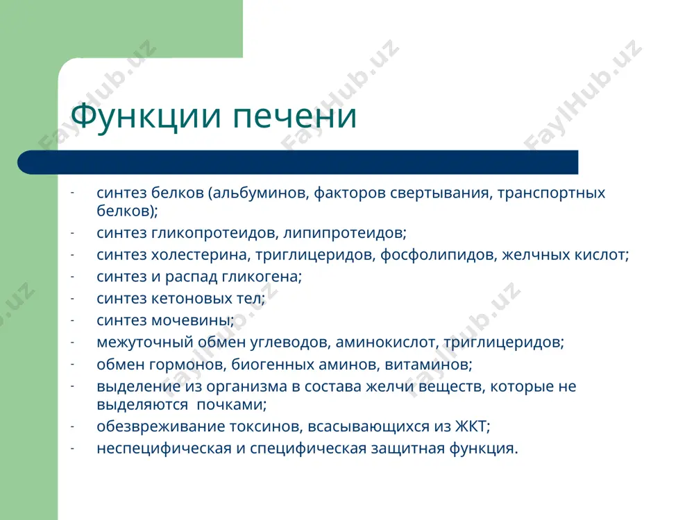 патофизиология печени - Page 2