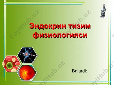 эндокрин тизим физиологияси — PPT