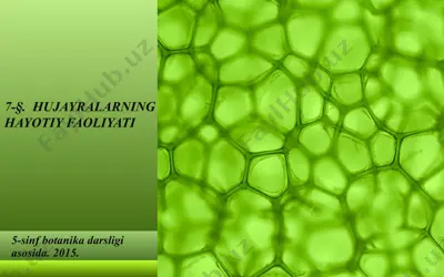 hujayralarning hayotiy faoliyati. 5 - sinf — PPT